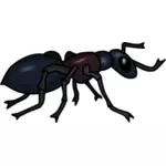 색된 개미 라인 아트 벡터 그래픽