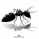 Ant vector clip art image