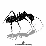 Drobny mrówka