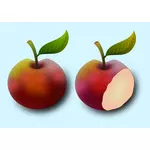 Två äpplen bild
