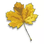 Fotorealistische gele maple leaf vector afbeelding