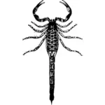 Fundamentele scorpion vector afbeelding