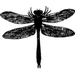 Dragonfly silhouet