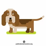 Basset hound dog