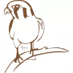 Falcon tekening
