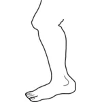 miehen jalka viiva kuva vektori ClipArt