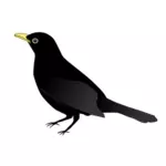 Blackbird stojící Vektor Klipart
