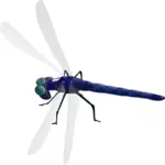 Dragonfly Menggambar