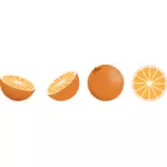 صورة متجهة لاختيار قطع البرتقال