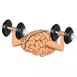 Hjernen trening