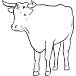 Ilustração em vetor silhueta touro vermelho