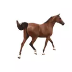 एक पुरुष घोड़े की रंगीन वेक्टर चित्रण
