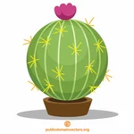 Cactus dans le pot minuscule