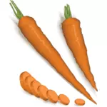 Geschälte und gehackte Karotten
