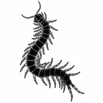 Caterpillar vector graphics