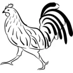 Ayam vektor gambar
