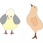 Vektorgrafik med två kycklingar