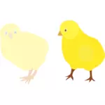 Vector afbeelding van twee kuikens in verschillende tinten van geel