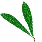 질감된 녹색 잎