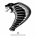 Cobra snake vector graphics