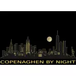 Copenhagen bei Nacht