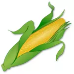 Fresh corn image