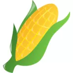 Maïs op de kolf 2