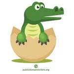Krokodyl w egg shell
