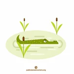 Crocodile dans l’eau
