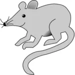 Image vectorielle de rat