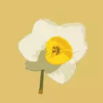 Immagine di vettore daffodil singolo