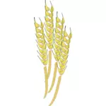 Vektorové grafiky pšenice oplášťování