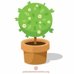 Decoratieve boom in een pot
