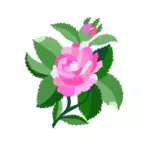 Desain untuk damask rose