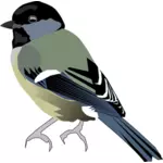Векторное изображение цветных птицы с серой передней