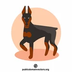 De hond van Pinscher van Dobermann