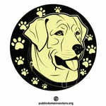 Anjing Golden Retriever