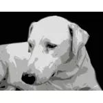 Fotorealistische vector illustratie van dogface