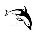 Černobílý obrázek delfína
