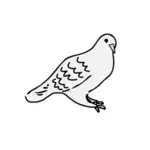 Vektör grafikleri oturan güvercin