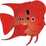 Pesce rosso rosso