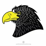 Eagle with yellow beak