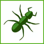 Green spider vector drawing