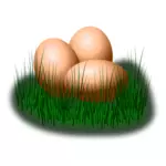 Huevos en imagen vectorial de hierba