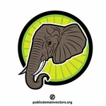 Elefantin pää syöksyhampailla