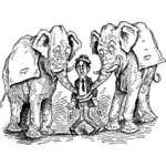 Слоны и человек