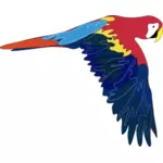 Vektör grafik ve uçan Amerika papağanı