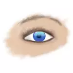 Mata biru Menggambar