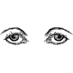 Mänskliga ögon skiss vektorbild