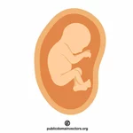 胎児ベクトル画像